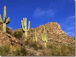 Jan 22 hike 044