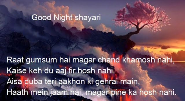 good night shayari collection 