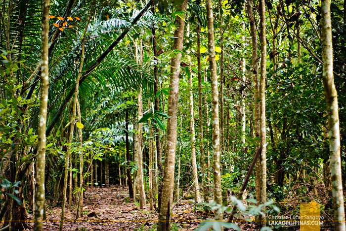 Songsalueng Natural Agricultural Centre Rayong Thailand