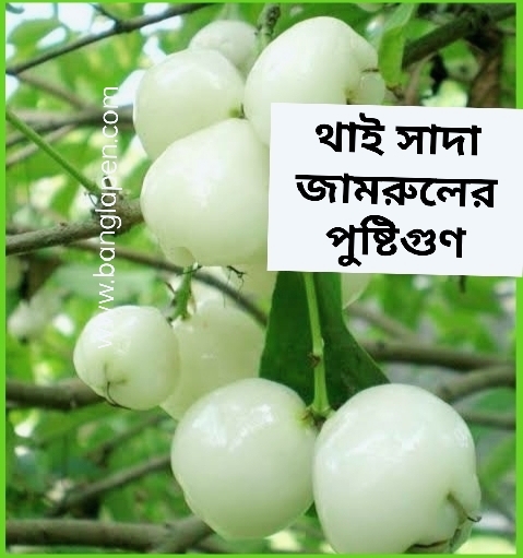 থাই সাদা জামরুলের পুষ্টিগুন