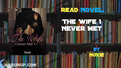Read The Wife I Never Met Novel Full Episode