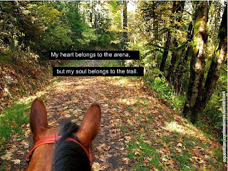 Horse Quotes