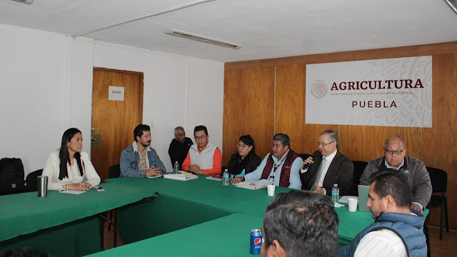 Continuaremos posicionando a productores de mezcal entre los mejores del país: Ariadna Ayala