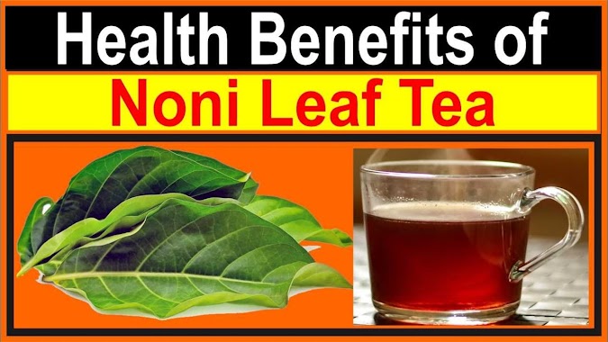 Health Benefits of Noni Leaf Tea