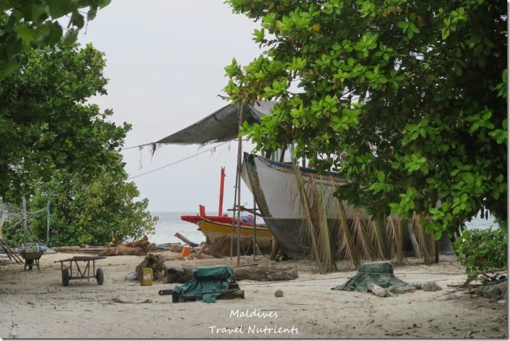 馬爾地夫居民島Mahibadhoo- Amazing Guesthouse (62)