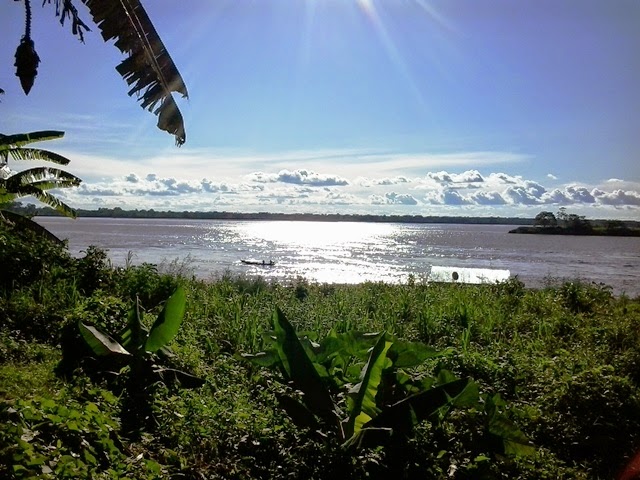 #RioSolimões - Situação atual do Rio Solimões: Enchente