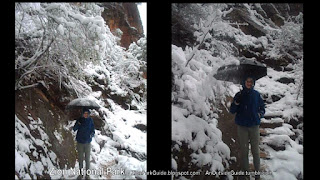 Umbrella in Snow Storm - spring snow - funny snow - making it snow more knocking snow out of trees