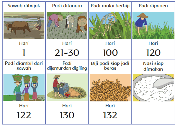 SENTRALAYAN MANDIRI