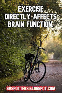 Exercise directly affects brain function.