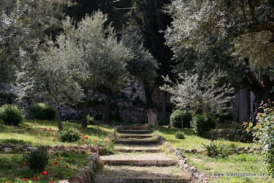 viajes a israel - Lugares Sagrados Cristianos: Getsemaní