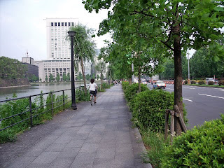 harumi dori by Imperial palace moat