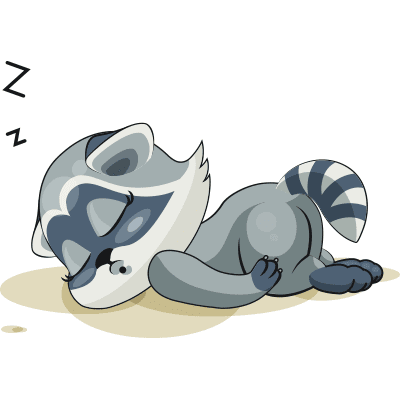 Sleepy Raccoon