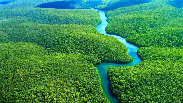 Amazon River