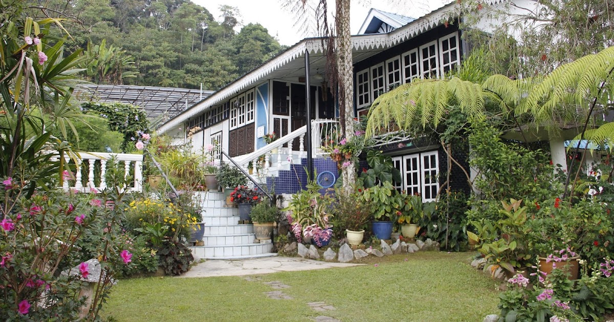 homestay cameron highland taman sedia