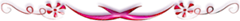 aflatoonsdivider6