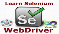 selenium testing course