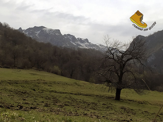 PAISAJE DE MONTAÑA ASTURIANA EN PEDROVEYA