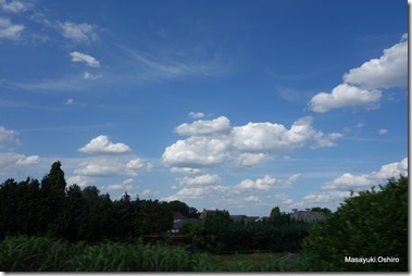 216-DSC03576