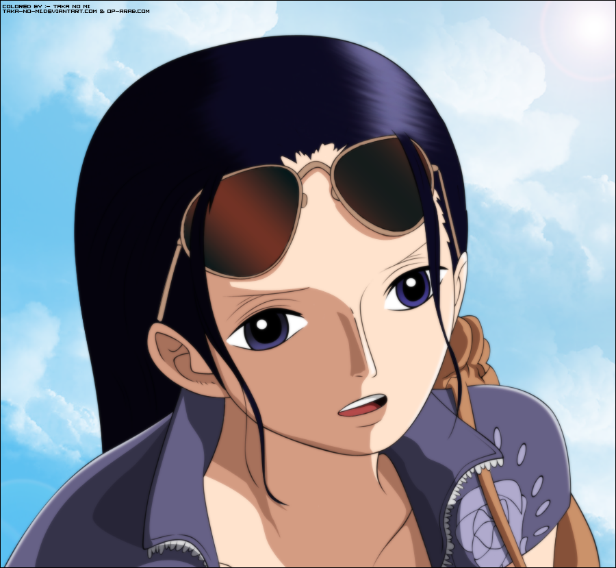 One Piece Nico Robin Funny Picture