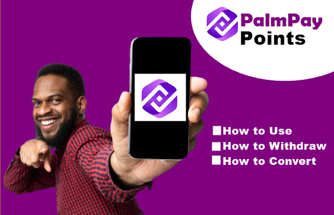 Palmpay Points: How to Use, Withdraw, Convert & More