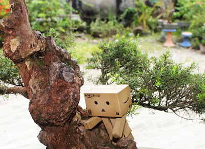 Danbo Tolong Manjat pohon