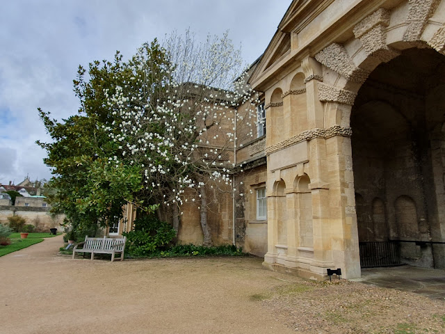 Entrance arch at Oxford botanical gardens with magnolia