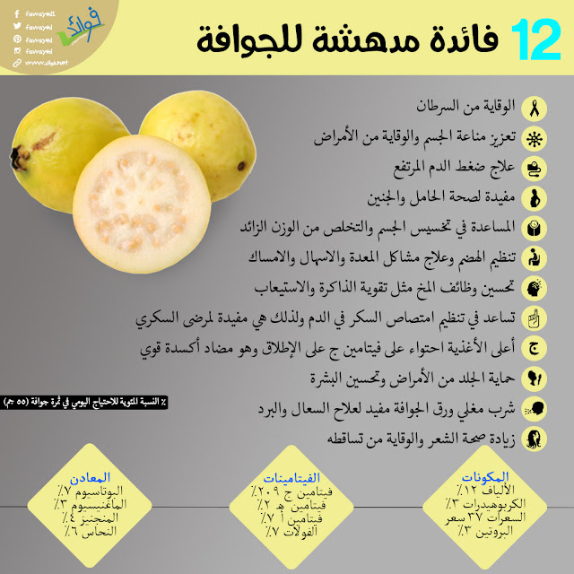 انفوجراف:فوائد الجوافة