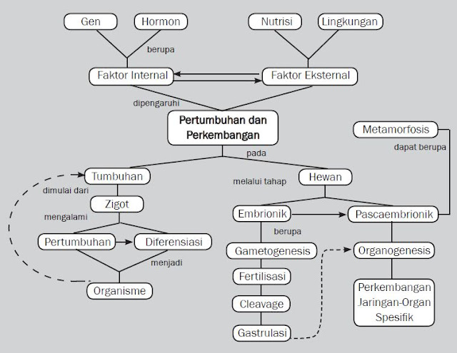 Pengertian dan Faktor-faktor yang Mempengaruhi Pertumbuhan dan Perkembangan Tumbuhan dan Tanaman