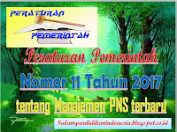 Peraturan Pemerintah Nomor 11 Tahun 2017 tentang Manajemen PNS terbaru