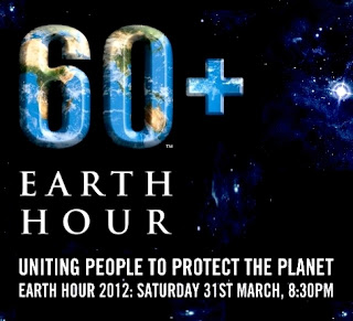 Earth Hour, Hemat Listrik