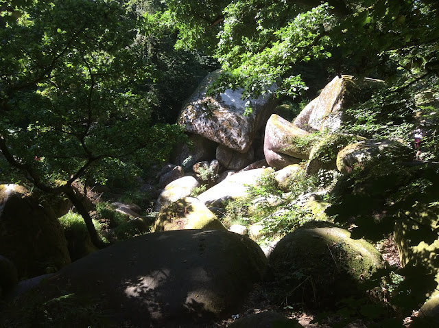 Huelgoat Forest, Brittany, France