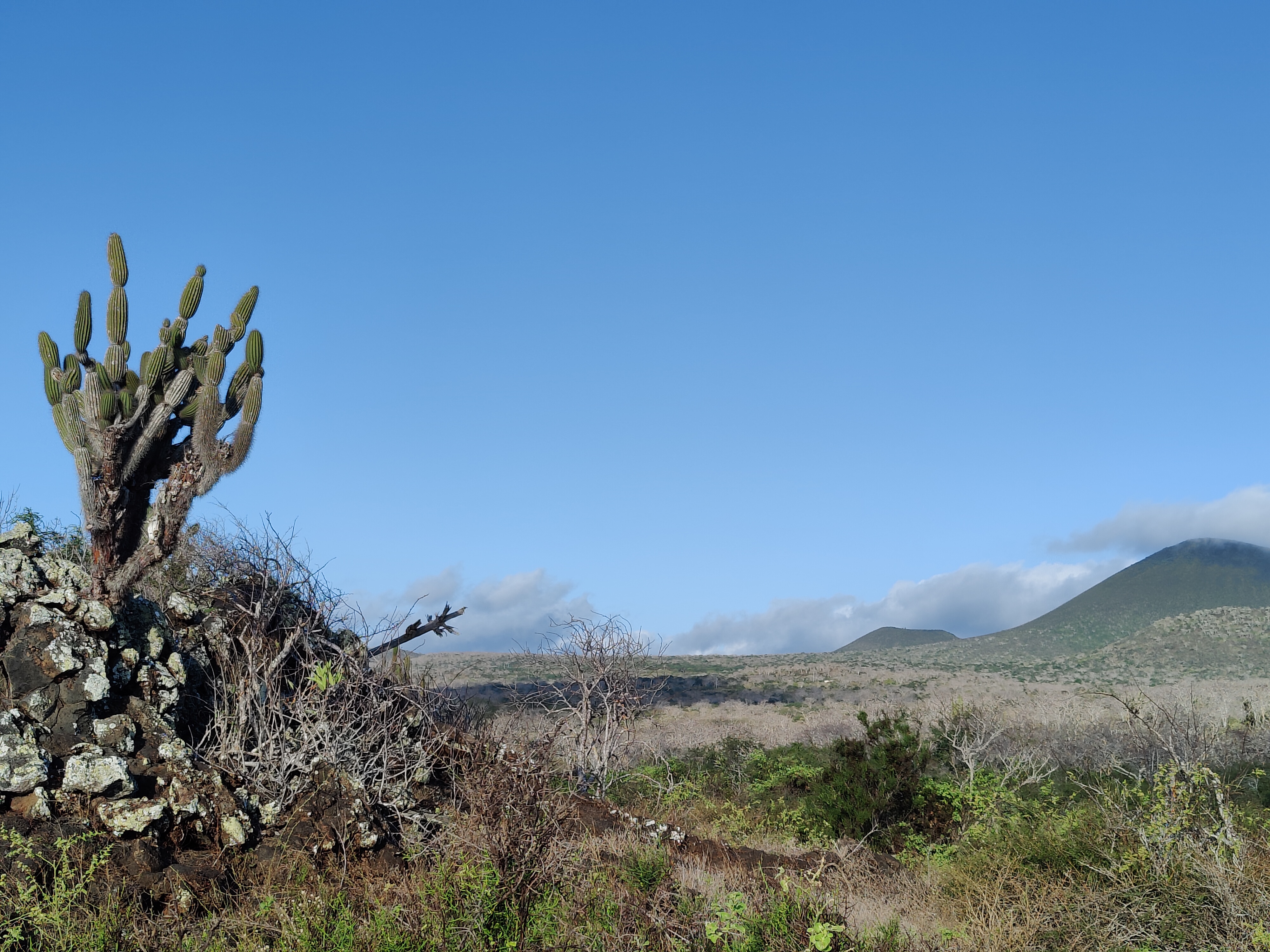 Isla Floreana