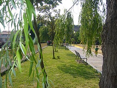 clip_image001[8]