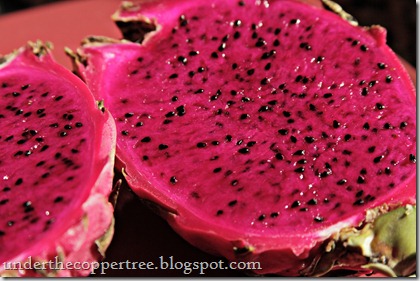 dfruit2