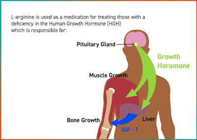 Larginine for blood pressure