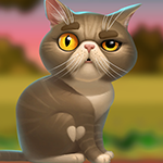 Play Palani Games Comely Cat E…