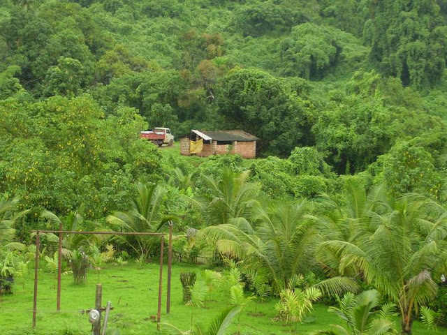 Beautiful Picture from Kerala Villages