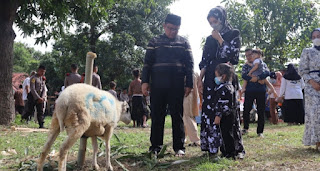 Kabid Humas Polda Jabar : Kapolres Hadiri Pemotongan Hewan Qurban