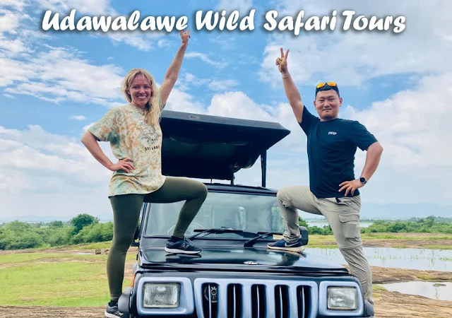 Udawalawe Wild Safari Tours