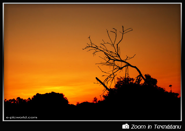 silhouette and sunset