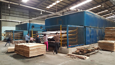 Factory production supply plywood planks in Vietnam
