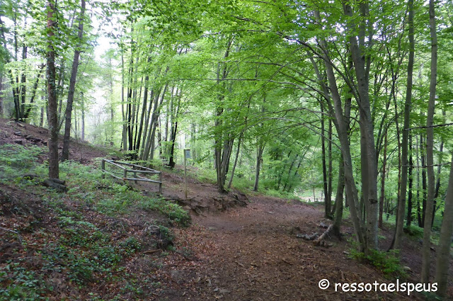 Mirador del Puig Rodó pel camí dels Bous