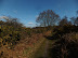End track that leads out onto the modern road to Blythburgh