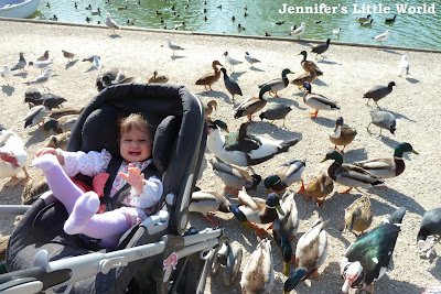 Swanbourne Lake near Arundel feeding the ducks