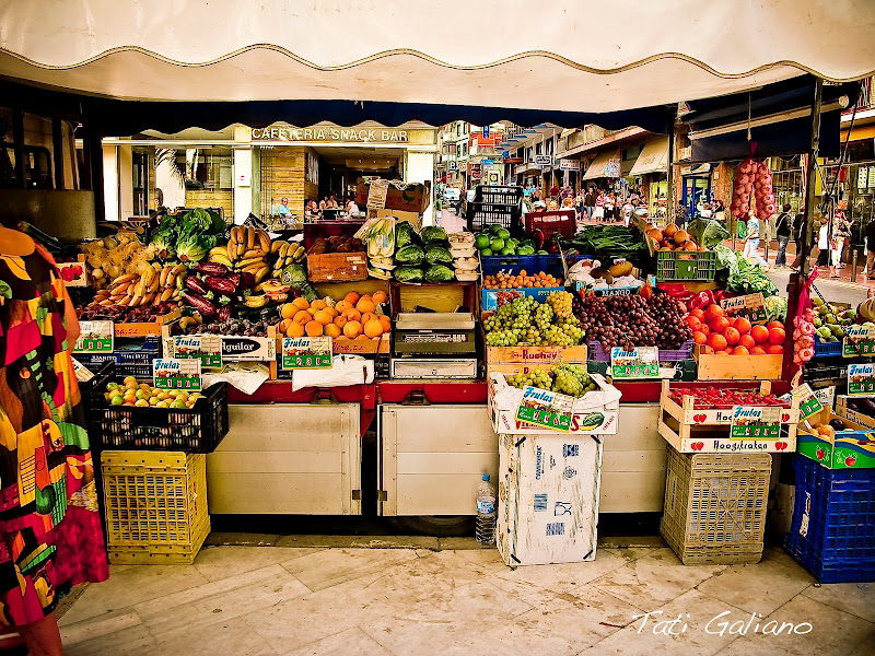 Tati Galiano. La viajera mas lenta. El puesto de verduras y frutas.2010