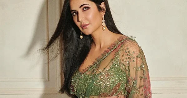 Katrina Kaif sheer saree hot actress