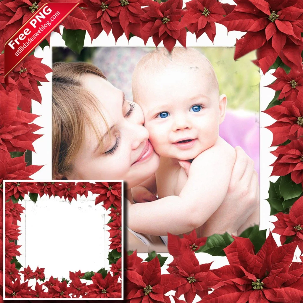 marco para fotos con flores de poinsettia pascuas o noche buena en png con fondo transparente para descargar gratis