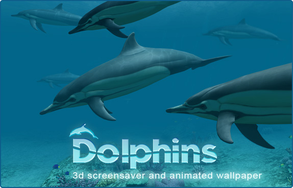 Dophins 3d Wallpapers