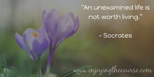 An unexamined life is not worth living. ~Socrates | www.enjoyingthecourse.com