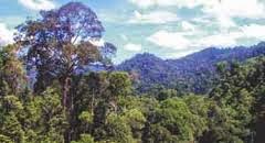 Taman Nasional Bukit Tiga Puluh